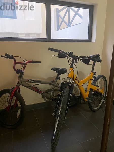 Two Bikes for sale 4