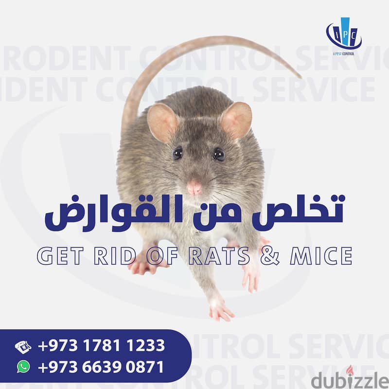 Bahrain Pest Control Service - Best Offer - Call Now 10