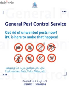 Bahrain Pest Control Service - Best Offer - Call Now