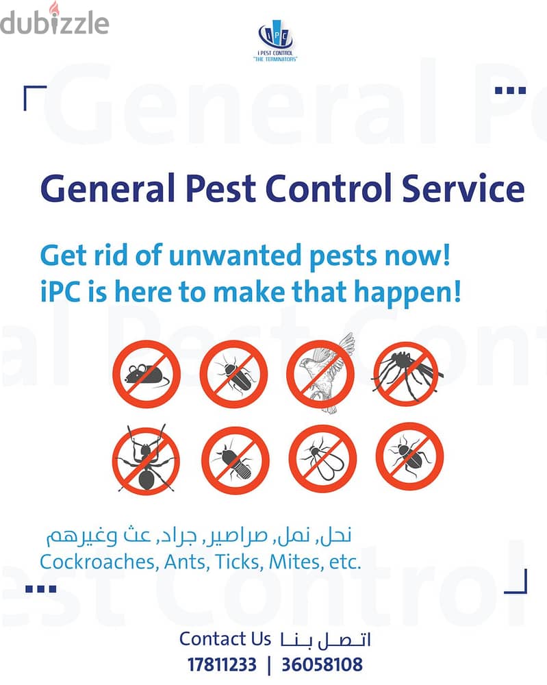 Bahrain Pest Control Service - Best Offer - Call Now 1