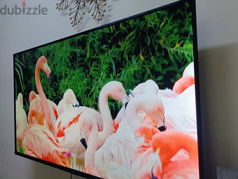 TCL 55” ultra hd 4k smart tv 1