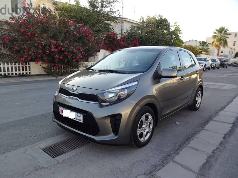 Kia Picanto 1.2 L 2019 Grey Agent Maintained Single User Well Mainatin 2