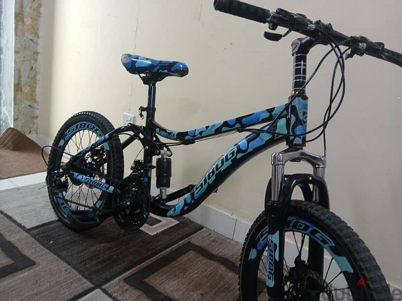 SBG Bicycle 2