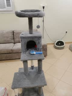 house for cats 0