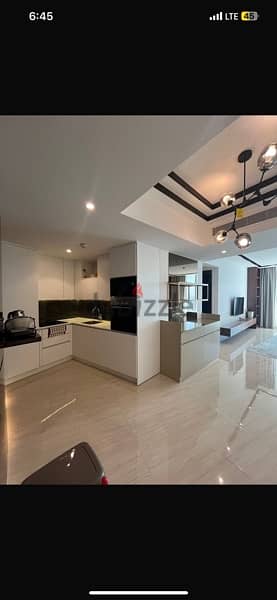 1 bedroom luxurious modern furnished apartment 3