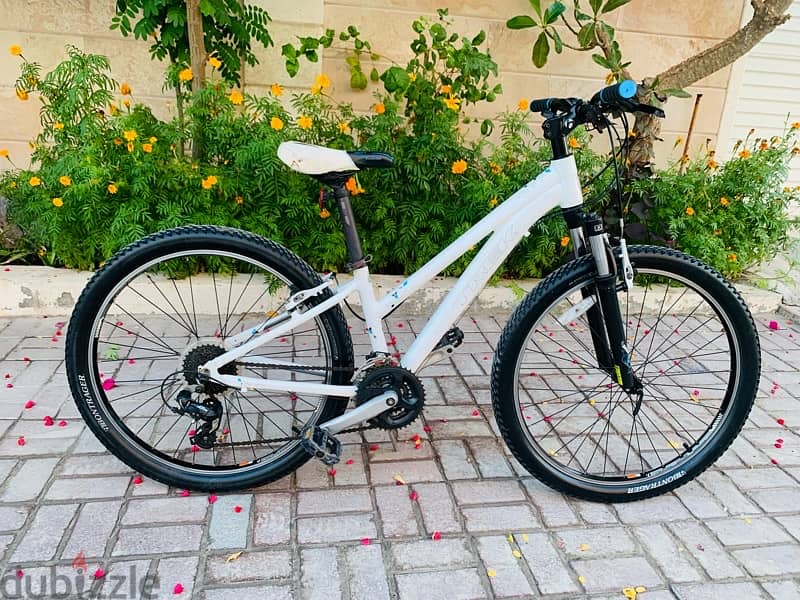 26” Trek sky 1