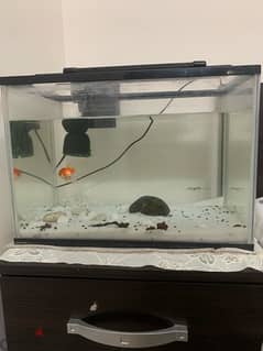 45 cm aquarium for sale 0