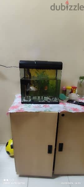 Aquarium with fishes for sale 1