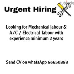 Looking for mechanical and electrical and Ac labour 0