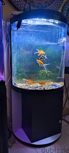 A wonderful fish aquarium with dishes for sell