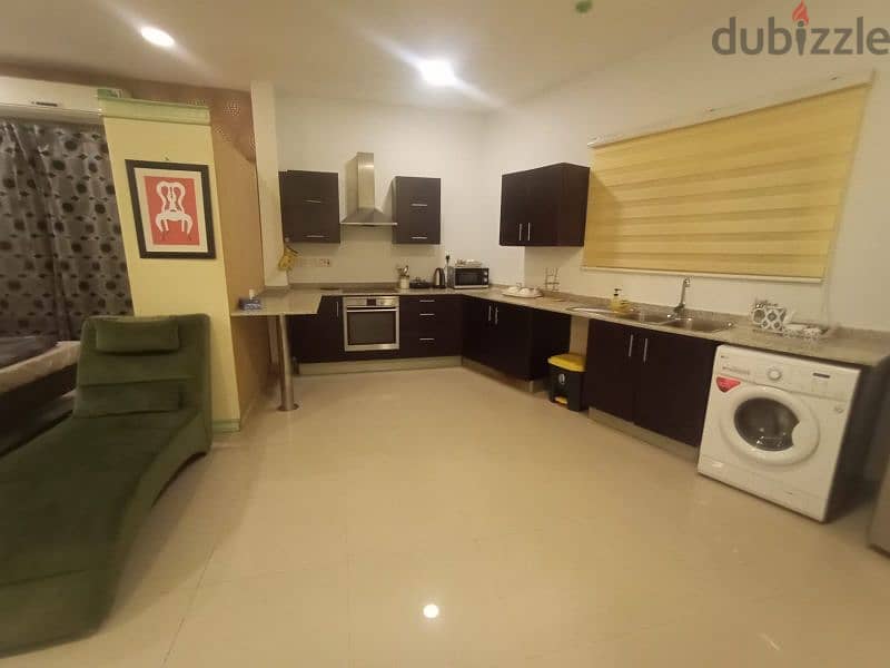 Spacious Furnished Studio flat for Rent saar 1