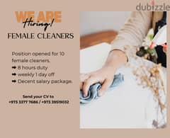 Female cleaner