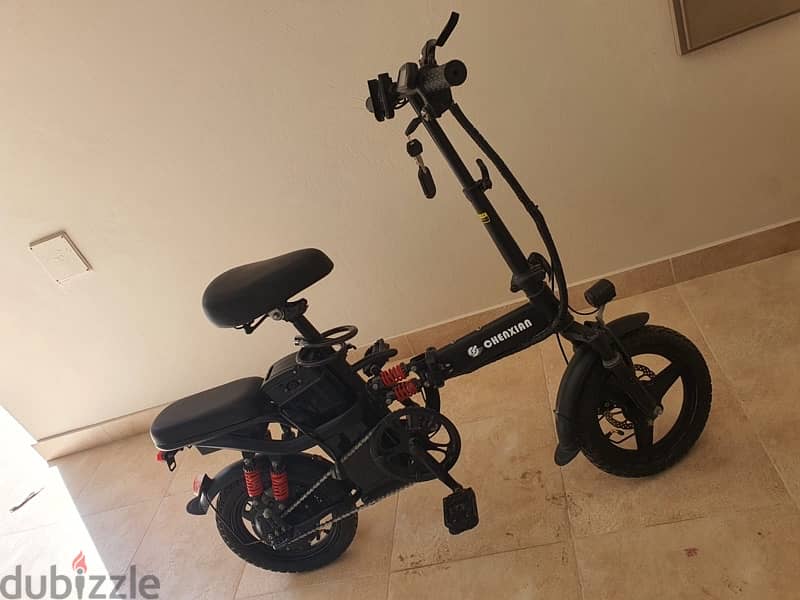 Electric Scooter 3