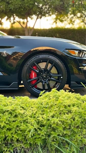 2020 Ford Shelby GT500 6