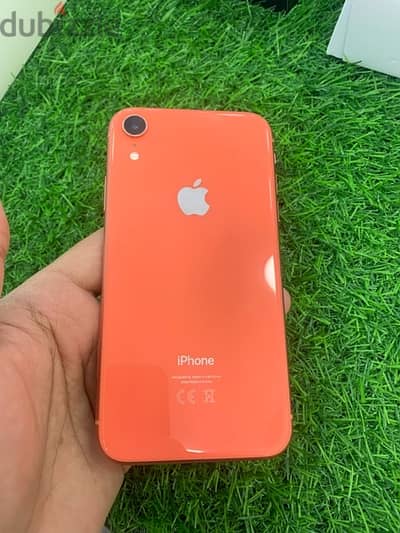 iPhone XR