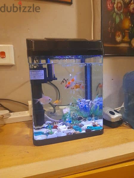 Aquarium. . . for sale. . 2