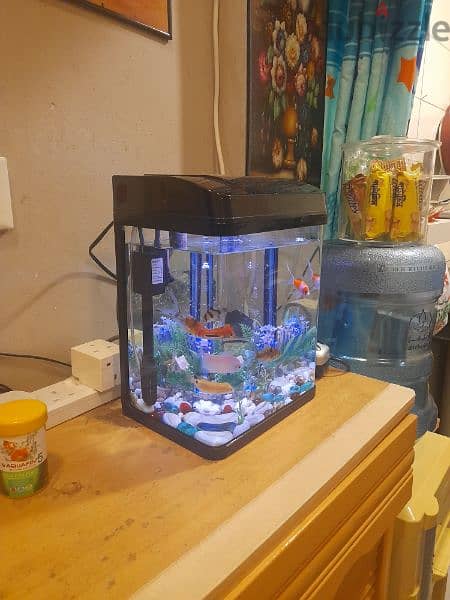 Aquarium. . . for sale. . 3