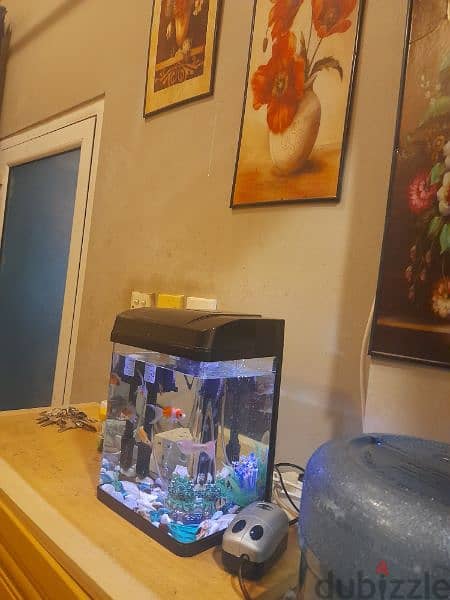 Aquarium. . . for sale. . 4