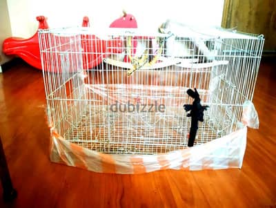 bird cage for sale