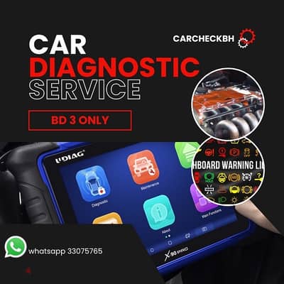 Car checking by professional diagnostic computer