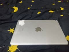 iPad mini 2 0