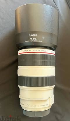 Canon EF 70-300MM L F4-5 IS USM (MINT CONDITION)