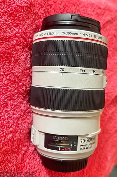 Canon EF 70-300MM L F4-5 IS USM (MINT CONDITION) 2