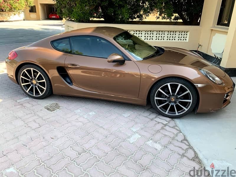 Porsche Cayman 2014 0