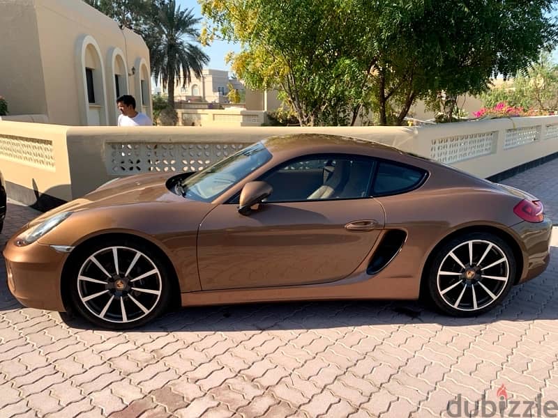 Porsche Cayman 2014 3