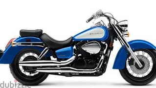 Wanted Honda Shadow