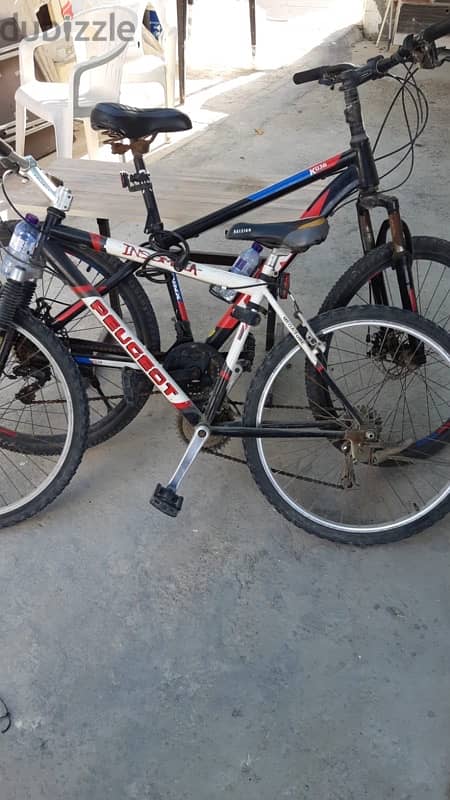 مطلوب دراجه / wanted bike 0