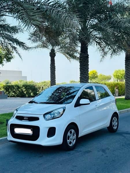 Kia Picanto 2017 Single Owner Zero Accident 3