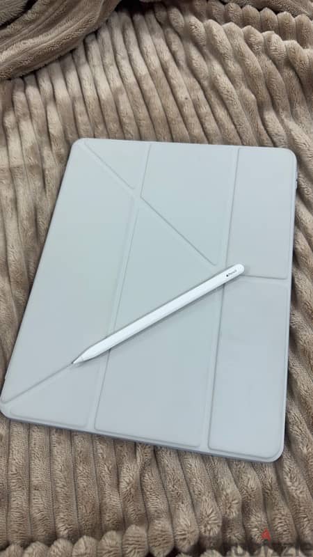 iPad pro 256 5