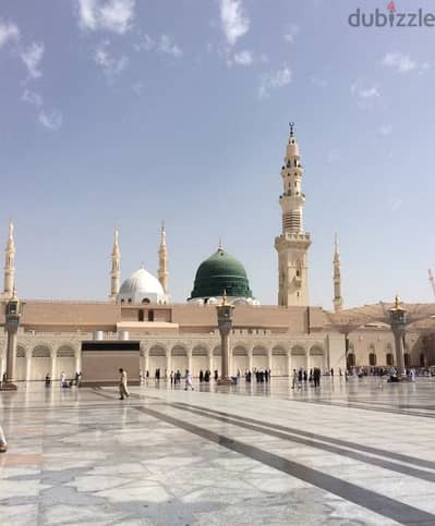 Al madina travels. makkah madina tours