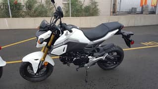 wanted مطلوب هوندا قروم honda grom