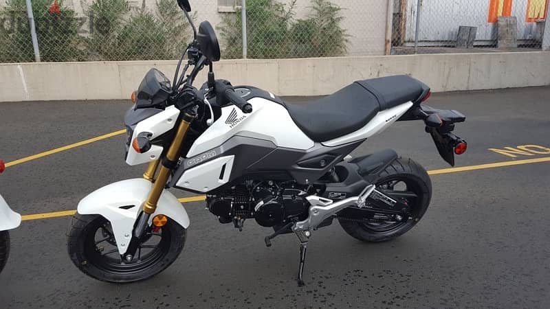 wanted مطلوب هوندا قروم honda grom 0