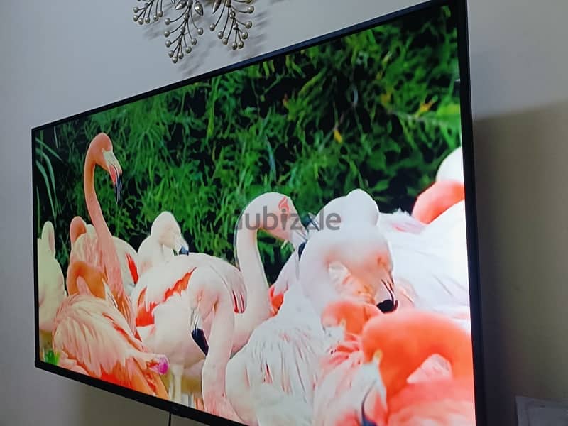 55” tcl ultra hd 4k smart tv 1