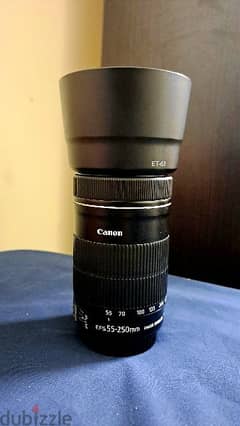 Canon 55-250mm lens.