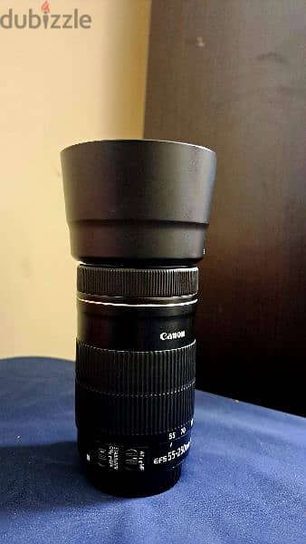 Canon 55-250mm lens. 1