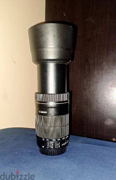 Canon 55-250mm lens. 2