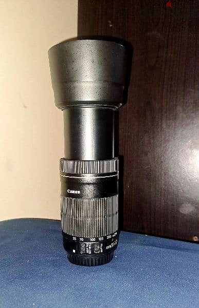 canon 55-250mm lens 2