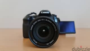 Canon 60d with a battery grip