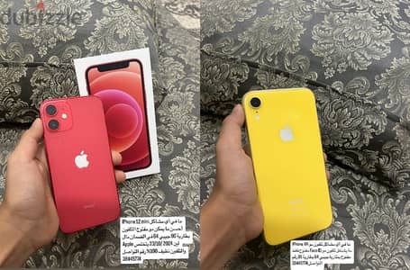 iPhone 12 mini / iPhone XR