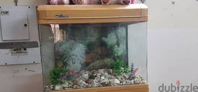 FISH AQUARIUM 0