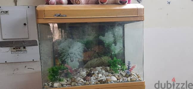 FISH AQUARIUM