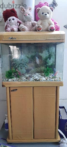 FISH AQUARIUM 1