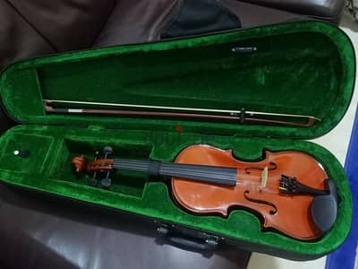 Violin