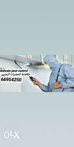 Experienced pest control company 0