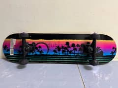 skateboard 0