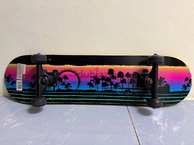 skateboard 0